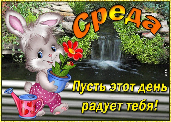 Открытки